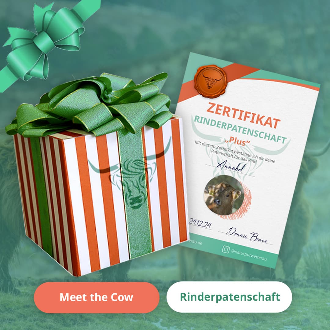 Weihnachtsgeschenke_Sq_21_nurBild_red.jpg__PID:579f8e42-e1e7-45b5-85ad-44aa0d871f11