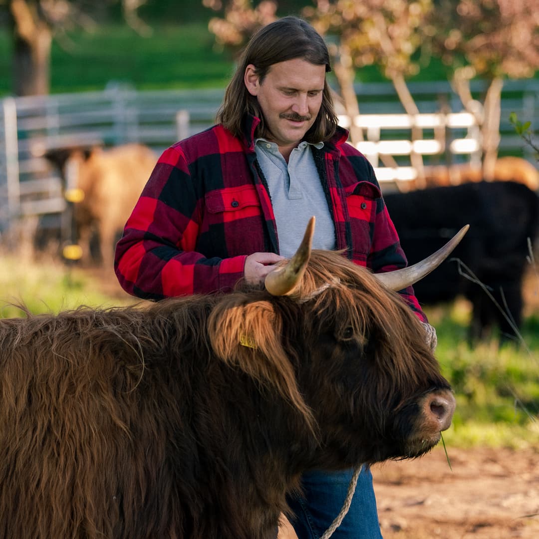 "Meet the Cow" - Dein Herdenbesuch bei uns - naturpurwetterau